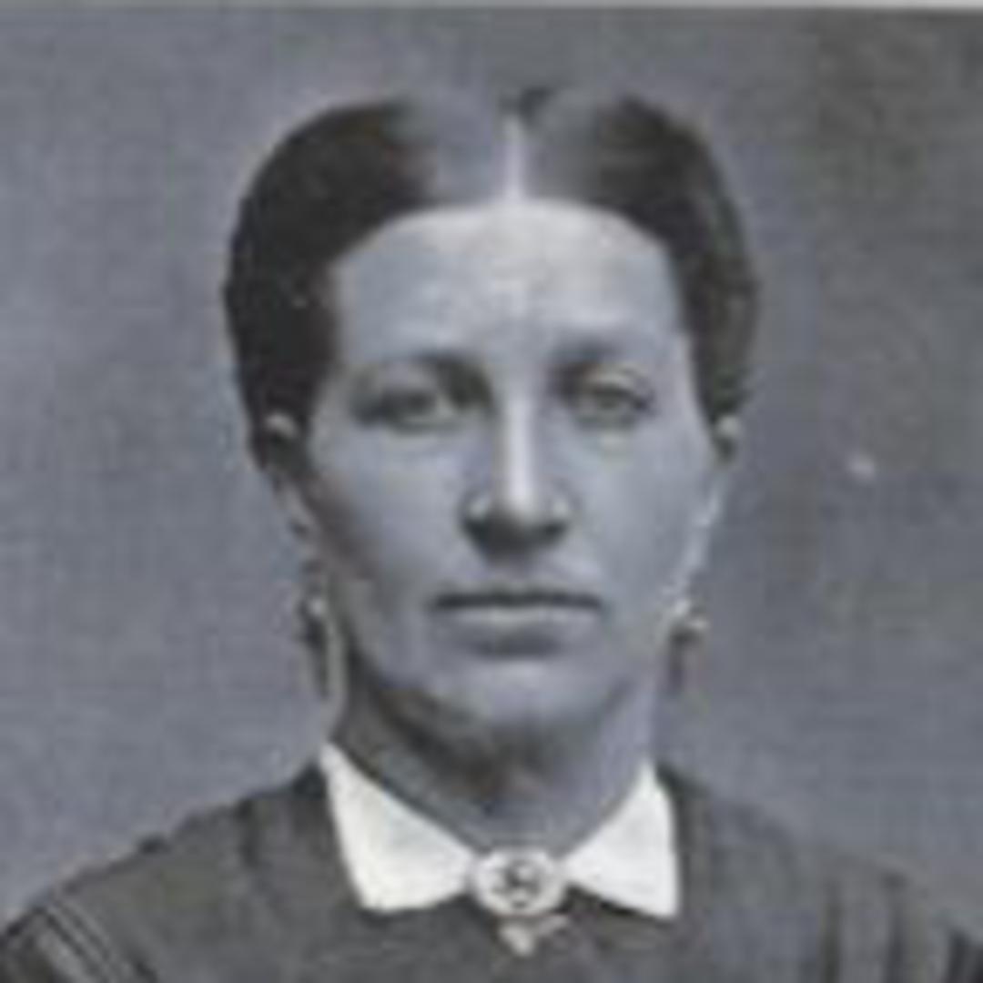 Anne Dorthea Nielsen Olsen (1836 - 1914) Profile